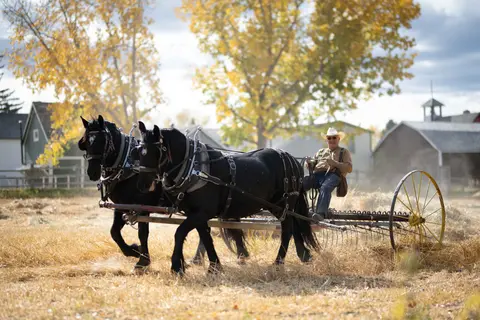FUN on the Farm - October 7th, 2026