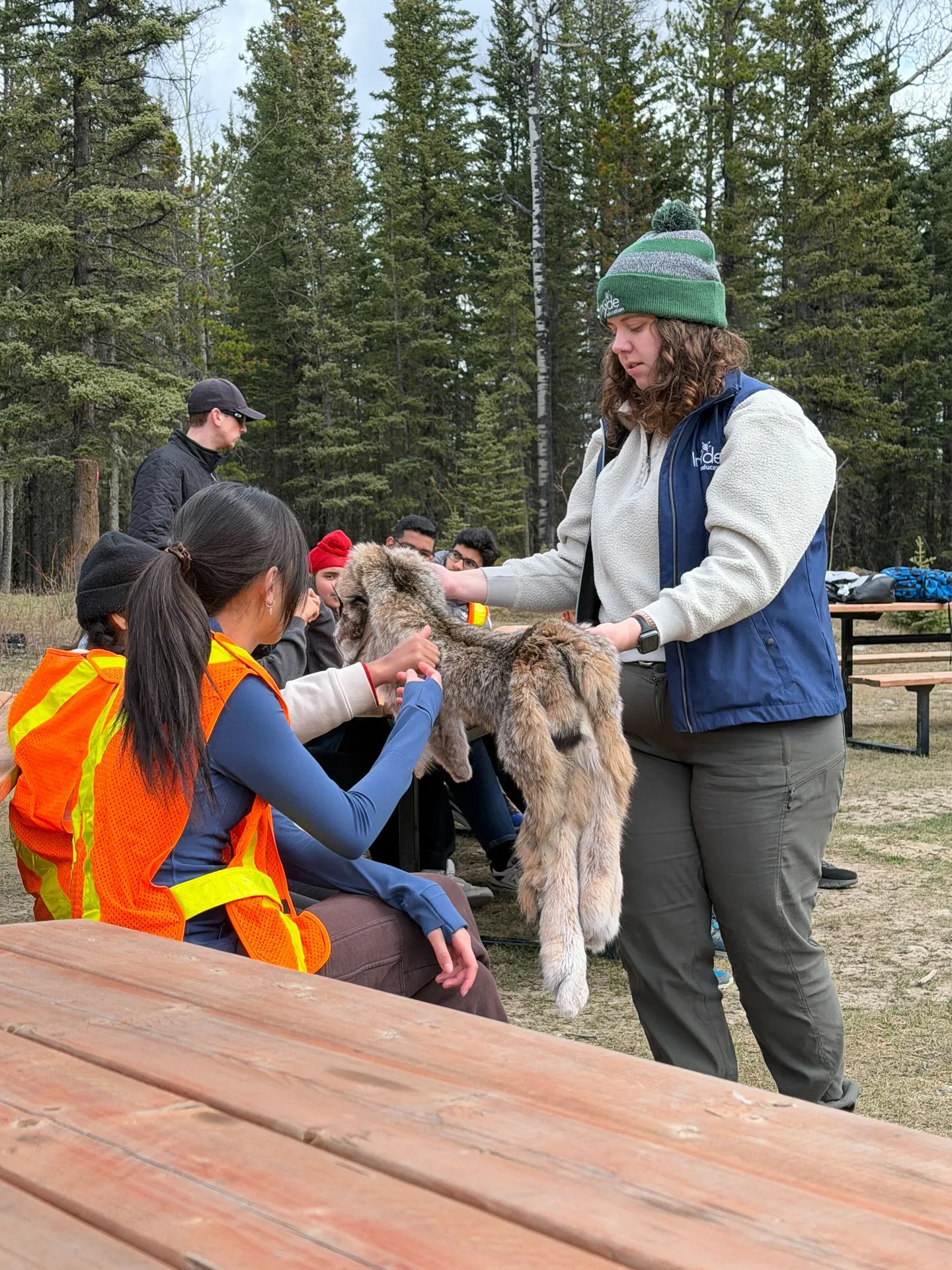Alberta's Wildlife: Field Trip