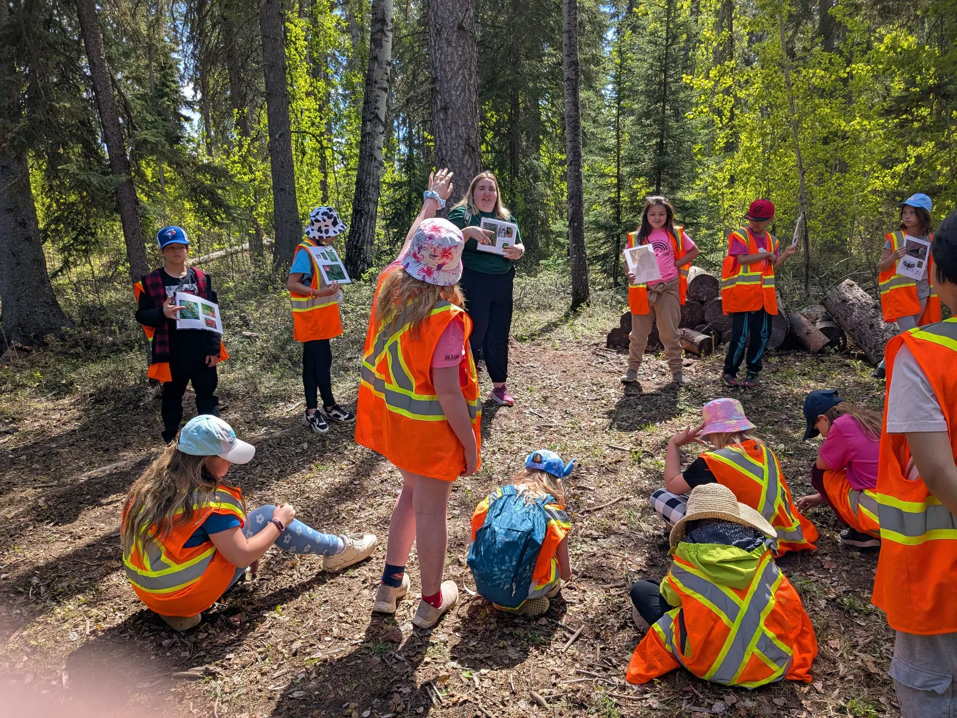 Alberta's Forests: Grade 3