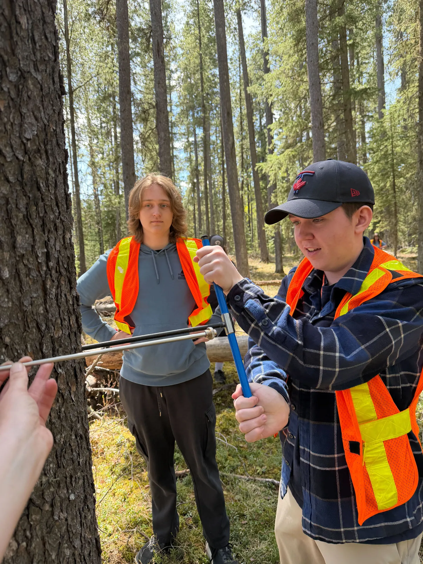 Alberta's Forests: Senior High