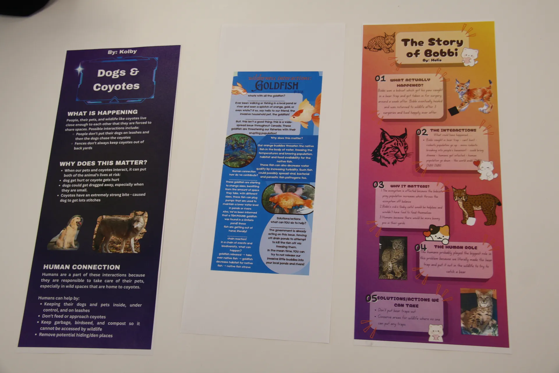 Emerging VetMed Innovators (EVMI) gallery 2