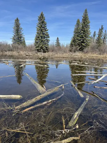 Rivers and Wetlands