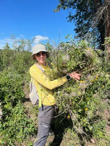 Weed Warriors! Invasive Plant Workshop