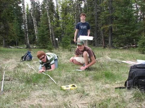 Ecosystems and Population Change - A Comparative Study