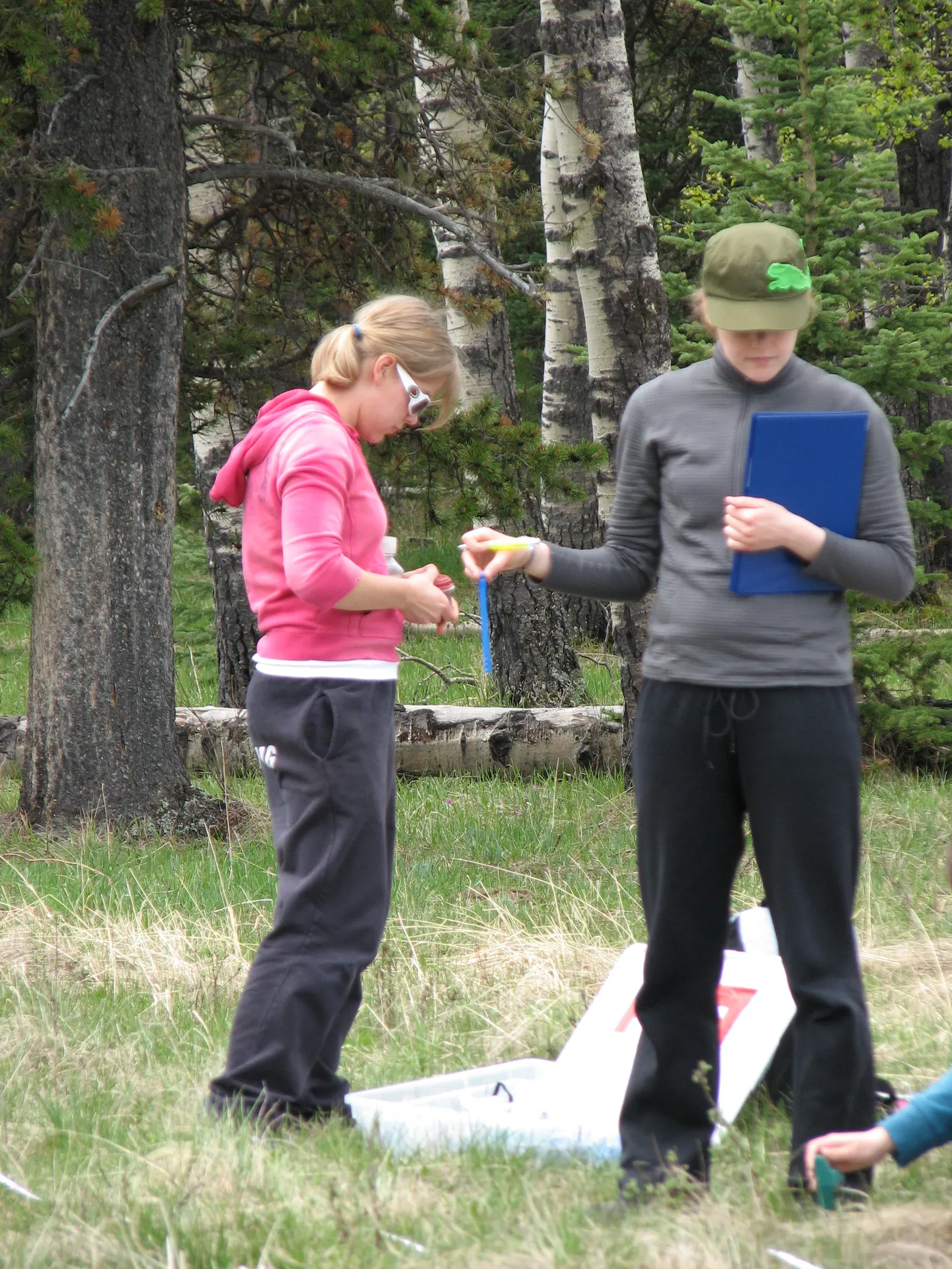 Ecosystems and Population Change - A Comparative Study gallery 3