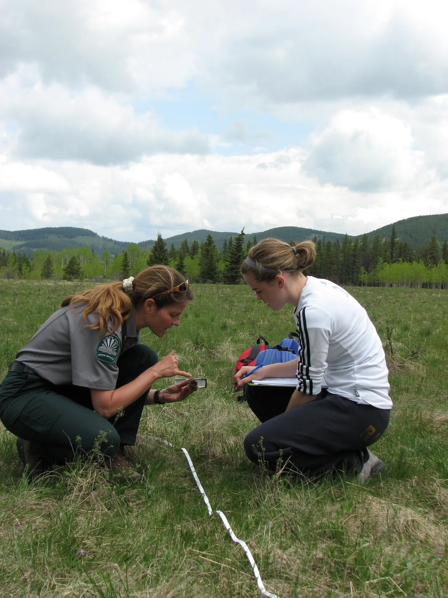 Ecosystems and Population Change - A Comparative Study gallery 2