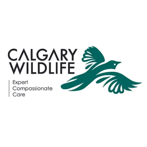 Calgary Wildlife